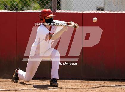 Thumbnail 1 in Miramonte @ Albany photogallery.