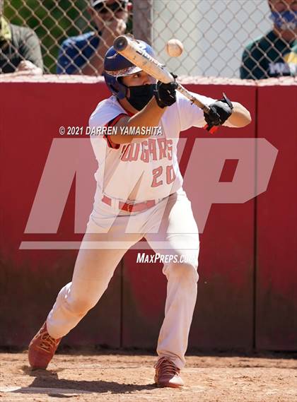 Thumbnail 1 in Miramonte @ Albany photogallery.