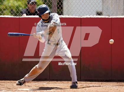 Thumbnail 1 in Miramonte @ Albany photogallery.