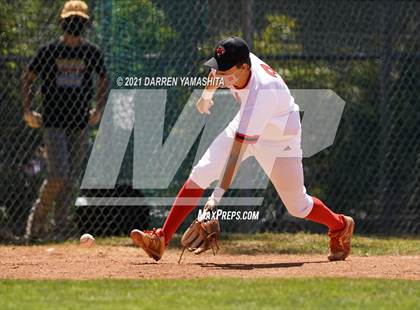 Thumbnail 1 in Miramonte @ Albany photogallery.