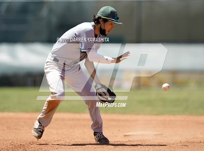 Thumbnail 2 in Miramonte @ Albany photogallery.