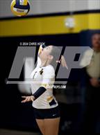 Photo from the gallery "Buena @ Flowing Wells"