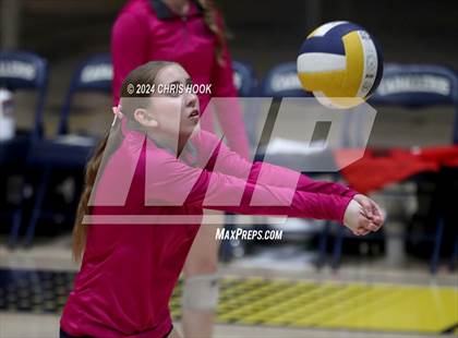 Thumbnail 3 in Buena @ Flowing Wells photogallery.