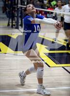 Photo from the gallery "Buena @ Flowing Wells"