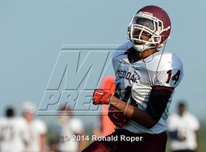 Thumbnail 3 in Red Oak @ Wylie East photogallery.