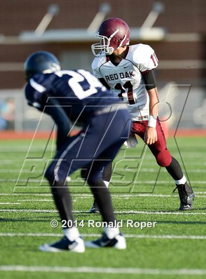 Thumbnail 1 in Red Oak @ Wylie East photogallery.