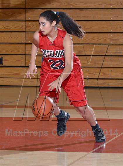 Thumbnail 1 in Antelope @ Mira Loma photogallery.