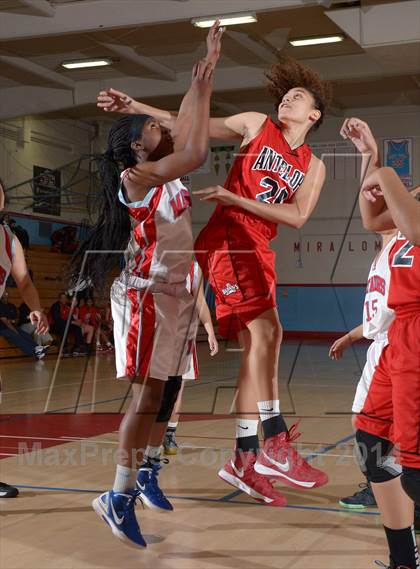 Thumbnail 2 in Antelope @ Mira Loma photogallery.