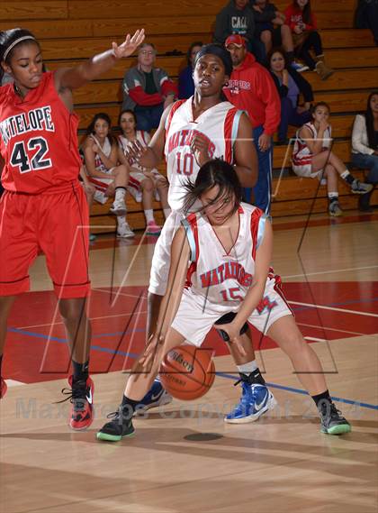 Thumbnail 2 in Antelope @ Mira Loma photogallery.