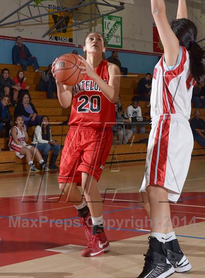 Thumbnail 2 in Antelope @ Mira Loma photogallery.