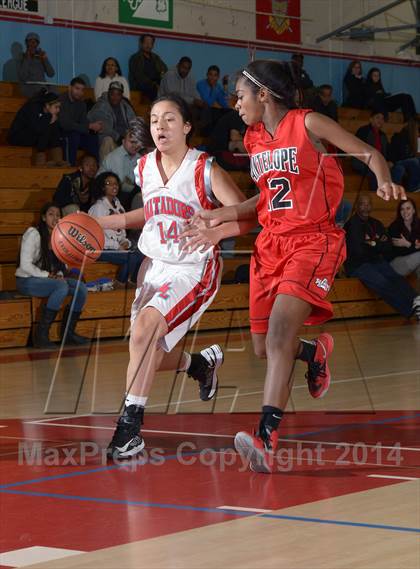 Thumbnail 1 in Antelope @ Mira Loma photogallery.