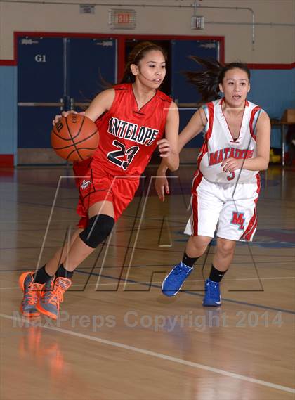 Thumbnail 1 in Antelope @ Mira Loma photogallery.