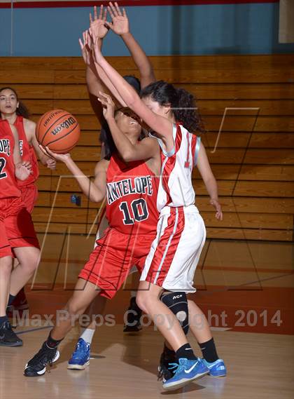 Thumbnail 2 in Antelope @ Mira Loma photogallery.