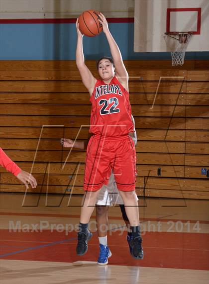 Thumbnail 3 in Antelope @ Mira Loma photogallery.