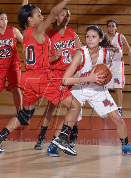 Thumbnail 2 in Antelope @ Mira Loma photogallery.