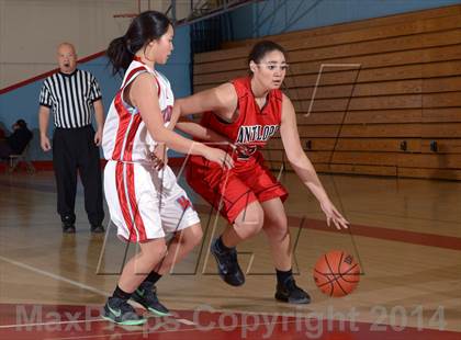 Thumbnail 1 in Antelope @ Mira Loma photogallery.