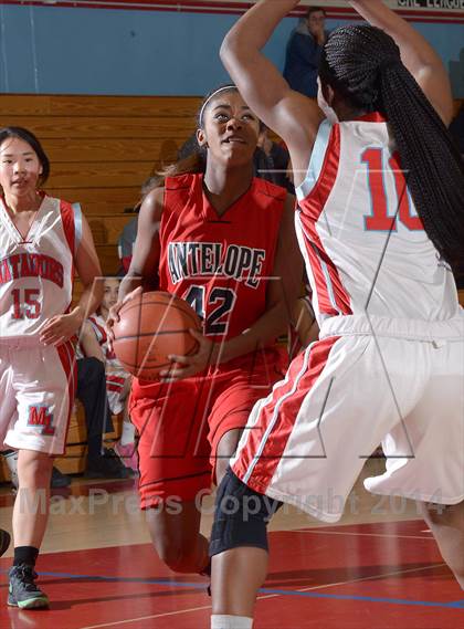 Thumbnail 2 in Antelope @ Mira Loma photogallery.