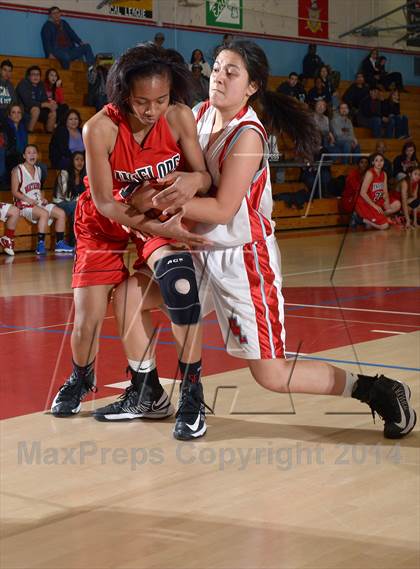 Thumbnail 2 in Antelope @ Mira Loma photogallery.
