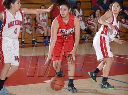 Thumbnail 1 in Antelope @ Mira Loma photogallery.