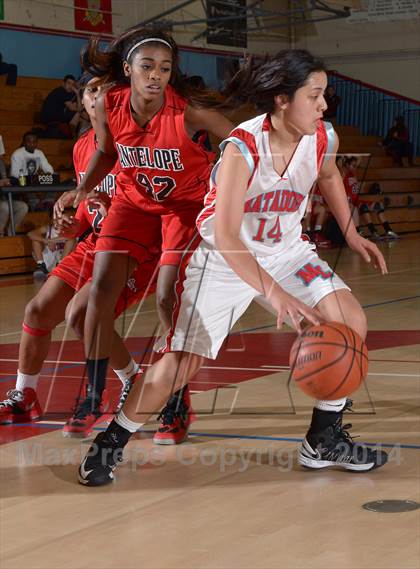 Thumbnail 2 in Antelope @ Mira Loma photogallery.