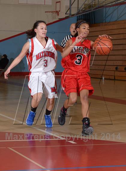 Thumbnail 3 in Antelope @ Mira Loma photogallery.