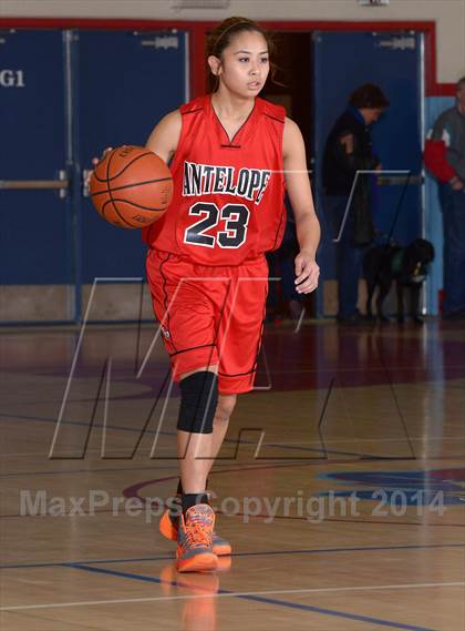 Thumbnail 3 in Antelope @ Mira Loma photogallery.