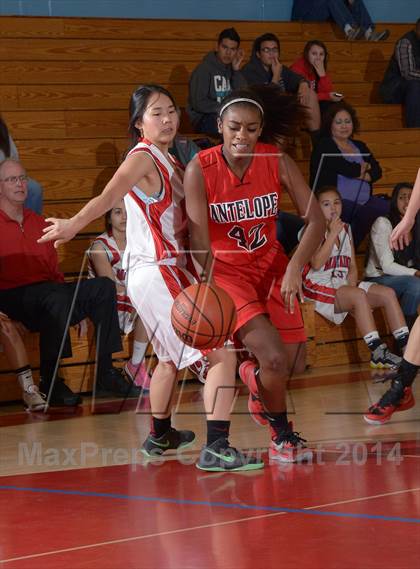 Thumbnail 1 in Antelope @ Mira Loma photogallery.