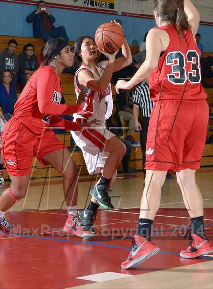 Thumbnail 1 in Antelope @ Mira Loma photogallery.