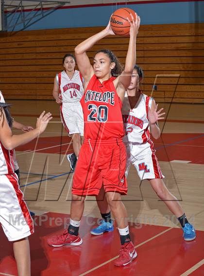 Thumbnail 1 in Antelope @ Mira Loma photogallery.