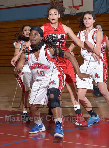 Thumbnail 1 in Antelope @ Mira Loma photogallery.