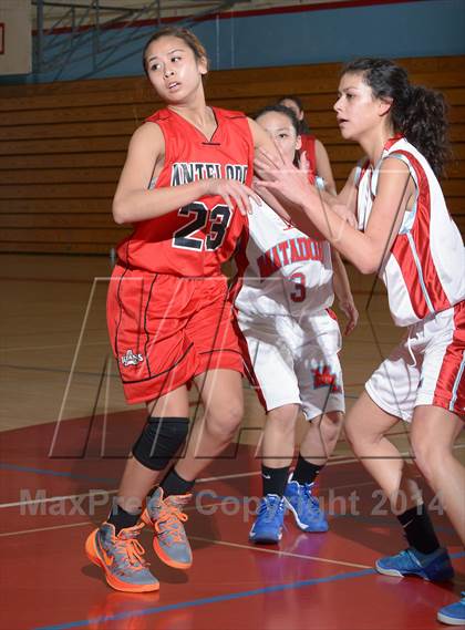 Thumbnail 1 in Antelope @ Mira Loma photogallery.