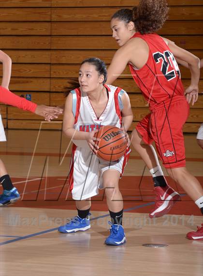 Thumbnail 1 in Antelope @ Mira Loma photogallery.