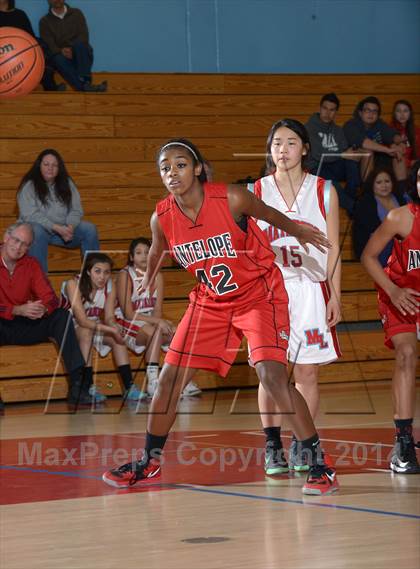 Thumbnail 2 in Antelope @ Mira Loma photogallery.
