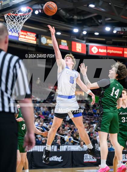 Thumbnail 1 in Timberline vs. Eagle (IHSAA 5A Quarterfinal) photogallery.
