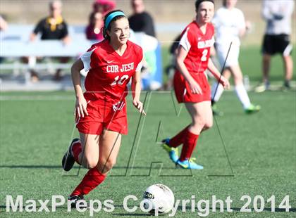 Thumbnail 1 in Cor Jesu Academy vs Pattonville (St. Louis Soccer Classic) photogallery.