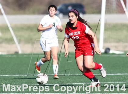Thumbnail 3 in Cor Jesu Academy vs Pattonville (St. Louis Soccer Classic) photogallery.
