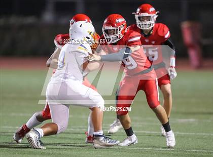 Thumbnail 2 in Muir vs Burroughs photogallery.
