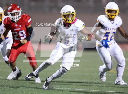 Thumbnail 2 in Muir vs Burroughs photogallery.