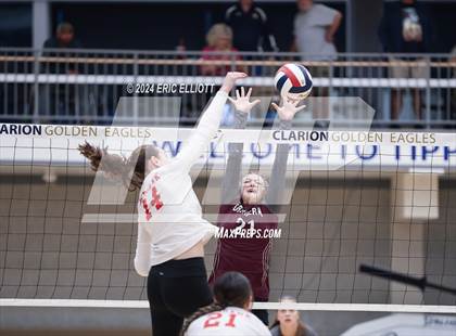 Thumbnail 2 in Cranberry Area vs Redbank Valley (PIAA D9 AA Final) photogallery.
