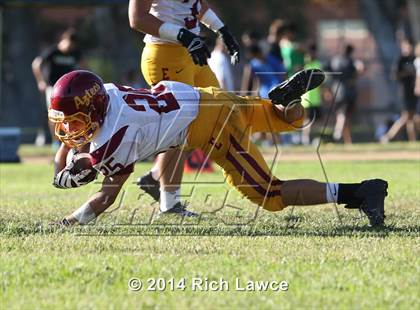 Thumbnail 3 in Esperanza vs. Canyon photogallery.