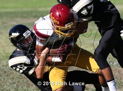Thumbnail 3 in Esperanza vs. Canyon photogallery.
