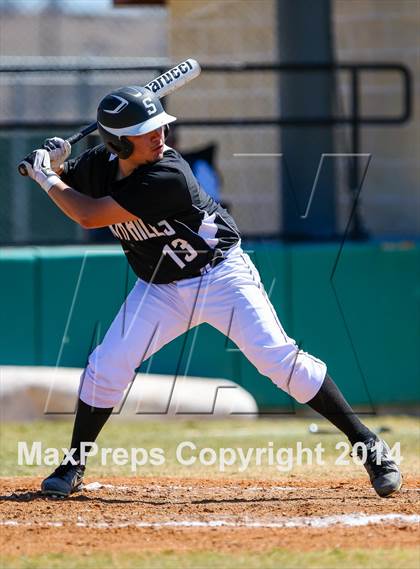 Thumbnail 3 in South Hills @ Aledo photogallery.