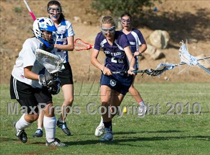 Thumbnail 3 in Newport Harbor @ Cate photogallery.