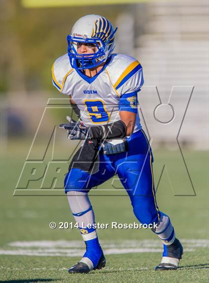 Thumbnail 2 in Van Vleck vs. Odem 3A D2 Regional photogallery.