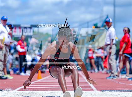 Thumbnail 3 in NYSPHSAA Outdoor Track & Field Championships (Triple Jump) photogallery.