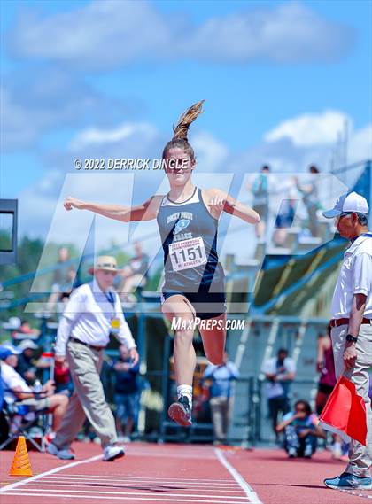 Thumbnail 2 in NYSPHSAA Outdoor Track & Field Championships (Triple Jump) photogallery.