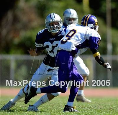 null - Photo 11