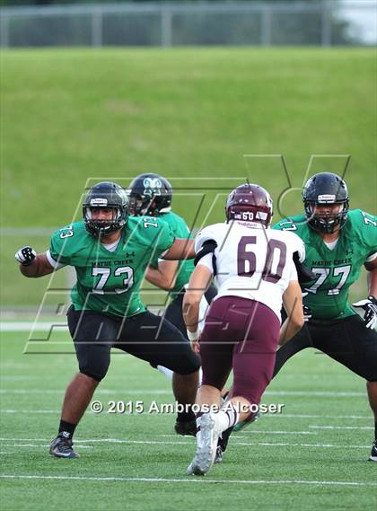 Thumbnail 2 in Cinco Ranch @ Mayde Creek photogallery.
