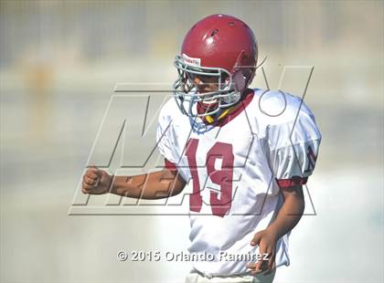 Thumbnail 3 in Monte Vista @ Eastlake photogallery.