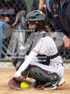 Photo from the gallery "Yelm @ Capital"